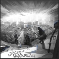 Ağaçkakan - Mühimdeğil Kapak